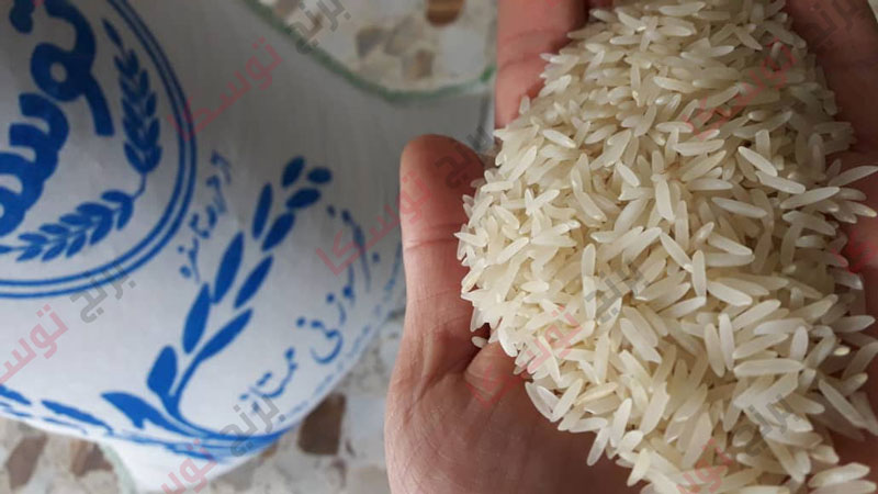 خرید برنج عطری فجر با قیمت همکاری