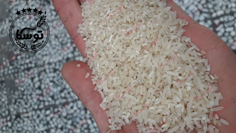 عرضه مستقیم برنج سرلاشه فجر